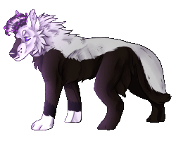 one minor + one major animation