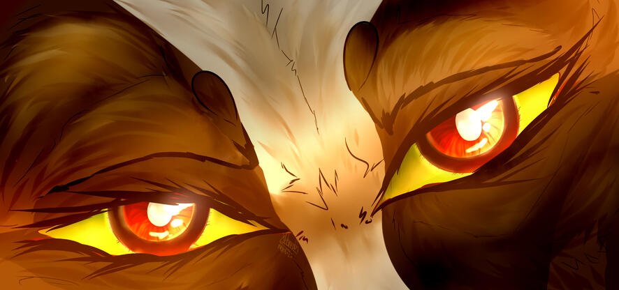 eye portrait (reference option)